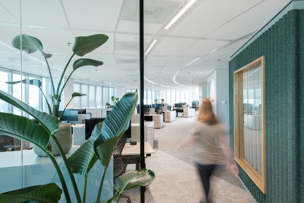 Organisch kantoor biophilic invloed met PET felt wand en ronde vormen