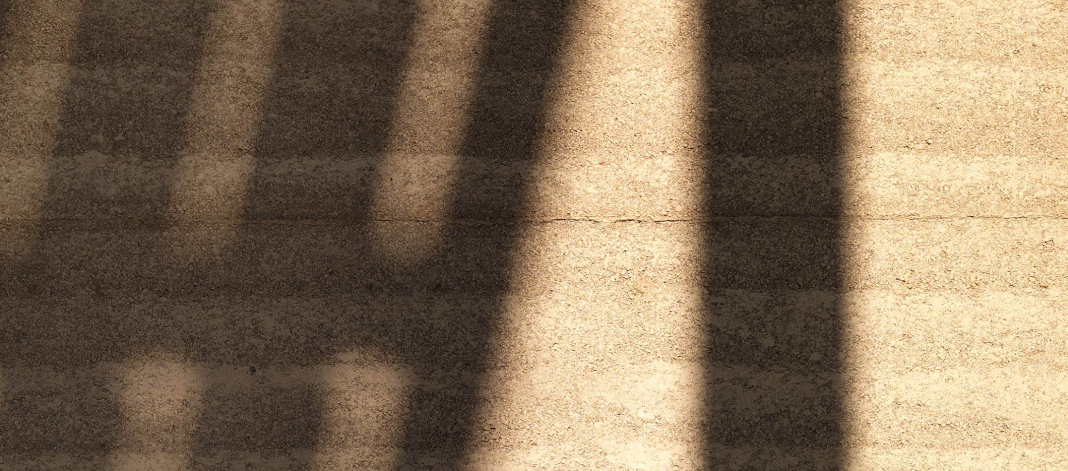 biophilic design komt terug in zon en schaduw