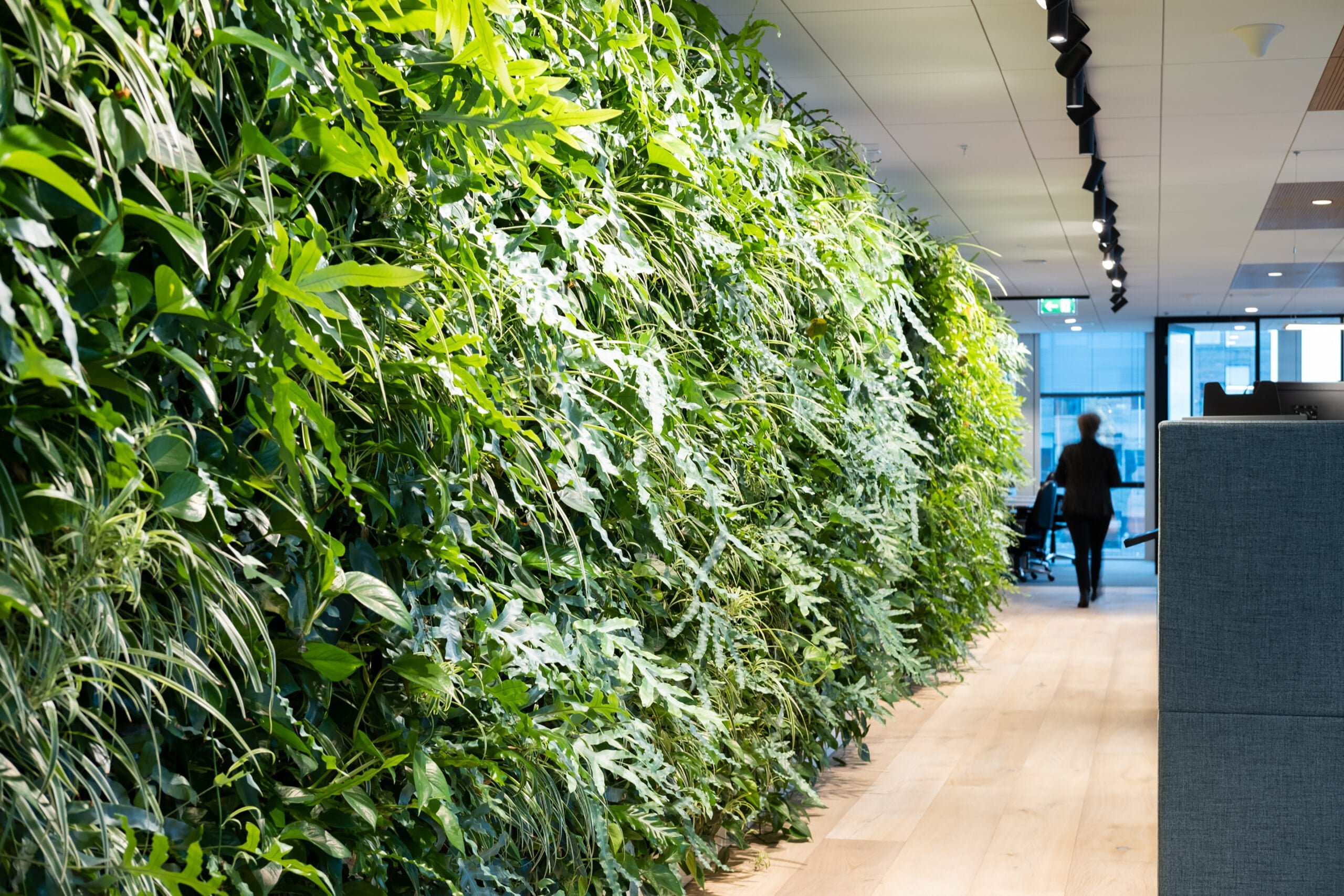groenwand in modern kantoor aan zuidas